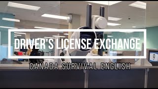 [초간단] 5분 만에 끝내는 캐나다 운전면허증 교환!: 단계별 안내 🚗📝 Switching to an Canadian License: A Step-by-Step Guide