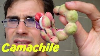 Camachile (Pithecellobium dulce) Review in Bangkok - Weird Fruit Explorer - Ep 77