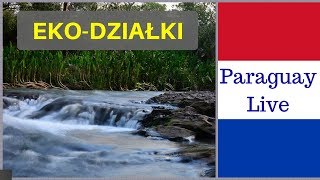 Samowystarczalni w Ameryce Paragwaj - Polacy w Paragwaju Ekowioska Działki