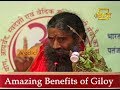 10 Amazing Benefits of Giloy | Swami Ramdev