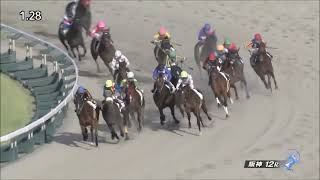 3歳以上2勝クラス　ダ1800m (右)　オーサムリザルト　牝3　53.0　武豊　2023.9.23　　出走馬：サイモンザナドゥ、ワンダフルトゥデイ、メイショウマントル、マテンロウルビー他