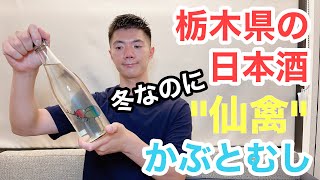 【日本酒 54本目】栃木県にあるせんきんさんの『仙禽   かぶとむし』を飲んだよ