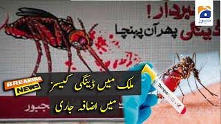 Pakistan Dengue Update | 12th OCT 2021 | DENGUE NEWS