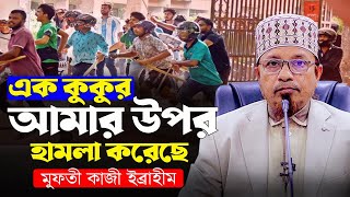 আমার উপর এক কু//কু//র হামলা করেছে। মুফতী কাজী ইব্রাহীম