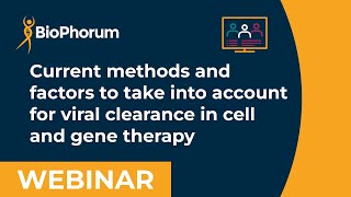 Current methods and factors to take into account for viral clearance in cell and gene therapy