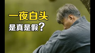 “一夜白头”真的不是夸张？如何科学解释，人哀伤过度会长白发？