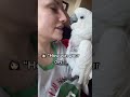 Funny cute parrot video#foryou #parrot #birds