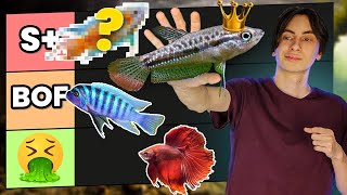 Quel est le MEILLEUR et le PIRE poisson pour DÉBUTER EN AQUARIUM ! (on les classe tous)