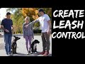 How to teach any dog to stop pulling and walk nicely on a loose leash!