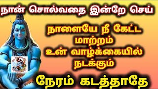 நான் சொல்வதை இன்றே செய் நாளையே கூட நீ கேட்டது கையில் நடக்கும் 🌟 நேரம் கடத்தாமல் கேள்