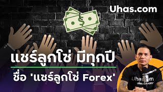 แชร์ลูกโซ่ Forex ชื่อนี้ สังเกตุอย่างไร ไม่ให้โดนหลอก