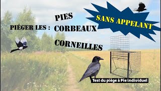 Piéger les pies ou corvidés sans appelant + Test piège à pie individuel