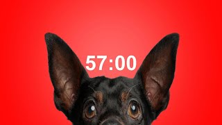 57 Minute Timer for School & Homework Dog Bark Alarm Sound Improve Focus & Productivity