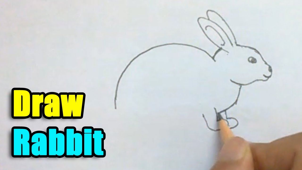 How To Draw A Rabbit Youtube