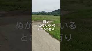 【たまき水辺の楽校】【無料】【キャンプ場】【三重県】2023年6月7日現在　たまき水辺の楽校　近況報告#shorts#アウトドア