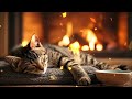 music for cats relief stress extremely soothing cat therapy music relax your cat cat music 0136