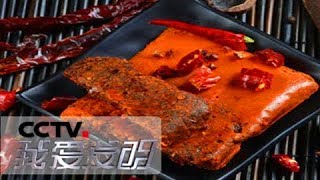 《我爱发明》 20180309 舌尖上的发明：火锅底料翻炒机/全自动凉皮机/全自动烩面坯一体机 | CCTV科教