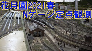 花月園2021年春 Nゲージ定点観測