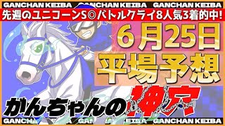 【6月25日土曜日平場予想】\