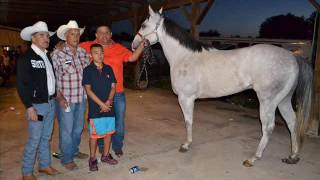 EL CORRIDO DE SALVADOR LOPEZ - AARON CHAVEZ