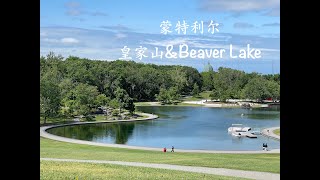 A Tour of Mount Royal in Montreal～加拿大·蒙特利尔·皇家山