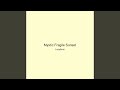 Mystic Fragile Sunset