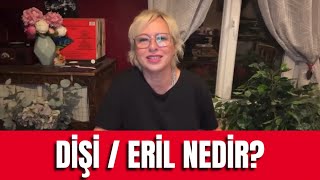 DİŞİ / ERİL NEDİR?