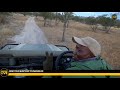 safarilive sunrise safari june 14 2018