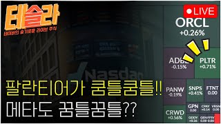 [테슬라 0221] 팔란티어 반등!? 메타도 앱로빈도 인텔도 손잡고 반등중 !!!