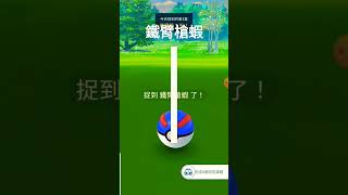 鐵臂槍蝦捕獲｜精靈寶可夢｜Pokémon go