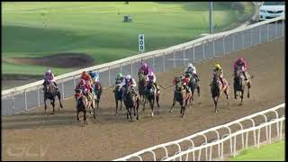 20210415 Hollywoodbets Greyville express clip Race 8 won by DEERUPT