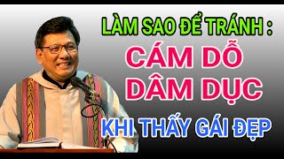 LÀM THẾ NÀO ĐỂ TRÁNH NHỮNG CÁM DỖ DÂM DỤC | LM VŨ THẾ TOÀN THUYẾT GIẢNG