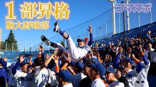 駒澤大学 硬式野球部 23年東都大学野球１部２部秋季入替戦 喜びの声