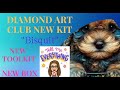 Diamond Art CLub     New Box, New Toolkit   What Do We Think