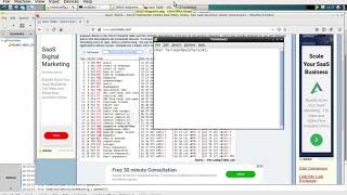 6502 Emulator 07 - C Arrays of Pointers
