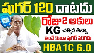 రోజు 4 ఆకులు తింటే 300 ఉన్న షుగర్ 150 దిగుతుంది || Diabetes Control Leaf  || Dr BA Venkata Swamy