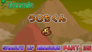 【テラリア】Shadows of Abaddon 攻略PART35(新防具、アイテム)