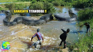 Para Peneliti Buktikan Kebenaran Adanya Ular Raksasa di Kalimantan NYATA Adanya !! Biggest Snake ...