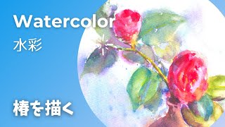 【水彩 Watercolor】椿を描く