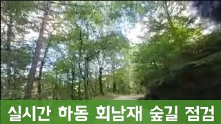 [지금하동TV] 비온뒤 회남재