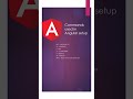 Commands used in angular project #coding  #tutorial #beginner #angulartraining  #code #angularcourse