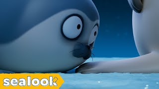 Out of CuriosityㅣSEALOOKㅣEP.50