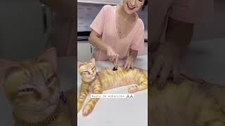 KUE KUCING😱😱 BERANI MAKAN?? #shorts #shortvideo #short #maxngaprak