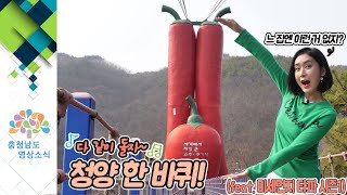 다 같이 돌자~ 청양 한 바퀴! (feat.미세먼지 타파 시즌1)