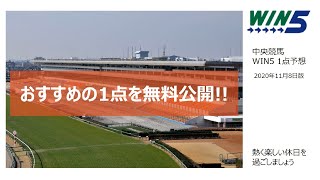 【競馬予想】2020年11月8日 中央競馬 WIN5 1点予想