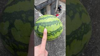 Experiment: Will a watermelon explode if it rolls down from a tall building?#shorts