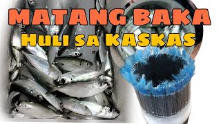 Nakahuli ng 25Kilos na Matambaka 🐟. Gamit ay Kaskas| Night fishing.