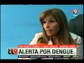 Preocupación por el Dengue