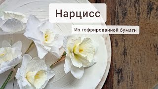 Махровый нарцисс из гофрированной бумаги