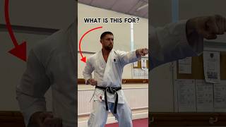 What is “Hikite”? #karate #shotokan #martialarts #technique #tips